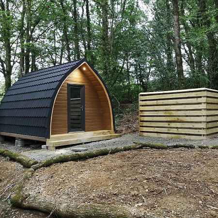 The Pod-Hot Tub-Woodland Lodges-St Clears-Carmarthen Exterior foto